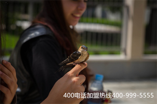 (400電話怎樣收費)(辦理400電話的收費會根據號碼有不同收費標準)